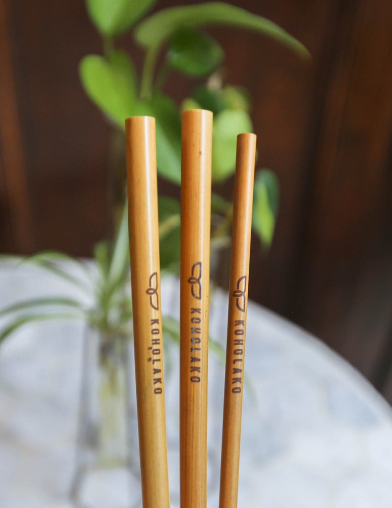 Bamboo Straws – Floreo Apparel